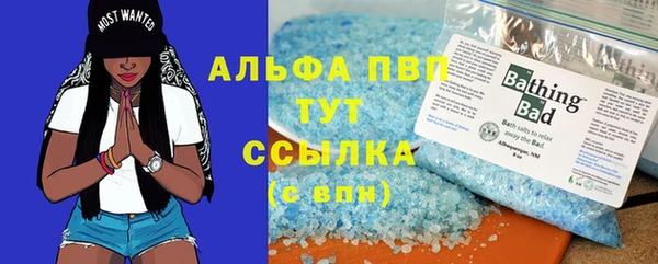 шишки Пересвет